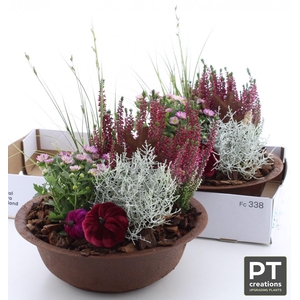 ARR TUINPLANTEN