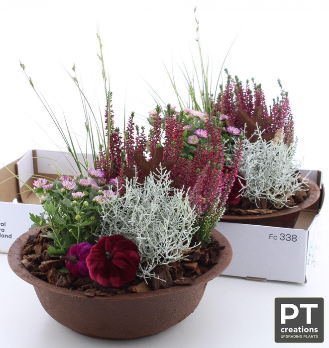 <h4>ARR TUINPLANTEN</h4>