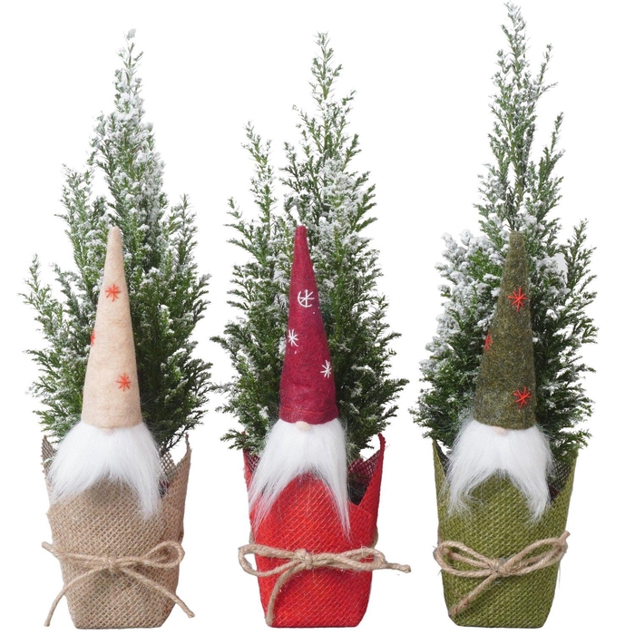 <h4>PTK25128 Ellwoodii met sneeuw in jute mix met decoratie</h4>