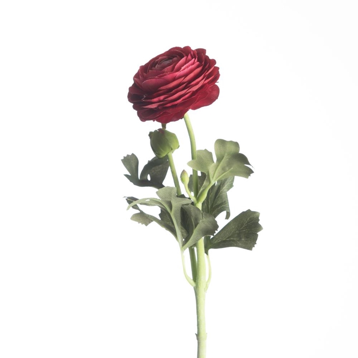 AF Ranunculus L51cm Beauty