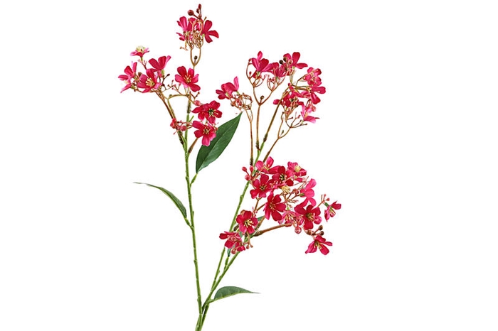 <h4>Flower Branch Pink</h4>
