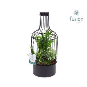 Metalen flesmetaal zwart Small met arrangement