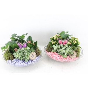 arr2 PL - Glas schaal 27cm - roze/lila