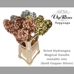 DRIED HYDRANGEA MAGICAL CANDLE METALLIC MIX