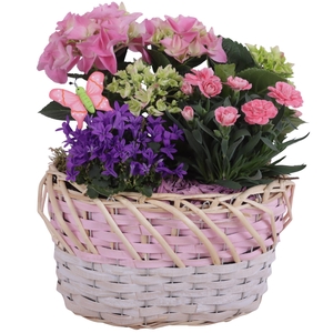 Spring Flower Arr. Outdoor Willow Basket Oval Threetone Ø28cm3PP