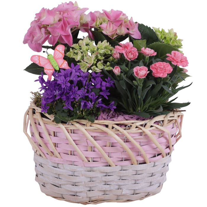 <h4>Spring Flower Arr. Outdoor Willow Basket Oval Threetone Ø28cm3PP</h4>