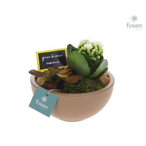 Schaal keramiek Moon Small beige Grootmoederdag met Arrangement