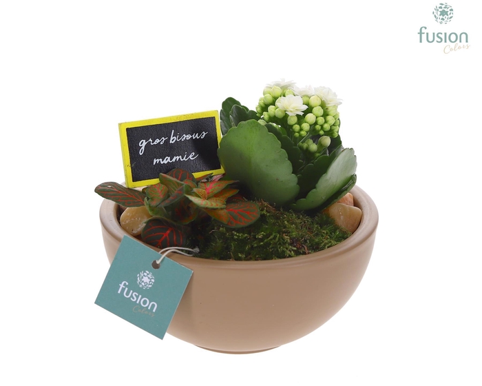 <h4>Schaal keramiek Moon Small beige Grootmoederdag met Arrangement</h4>