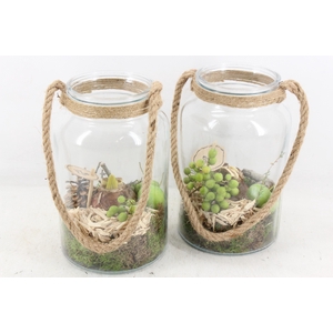 arr4 Amaryllis PL - Glas vaas touw 285/6