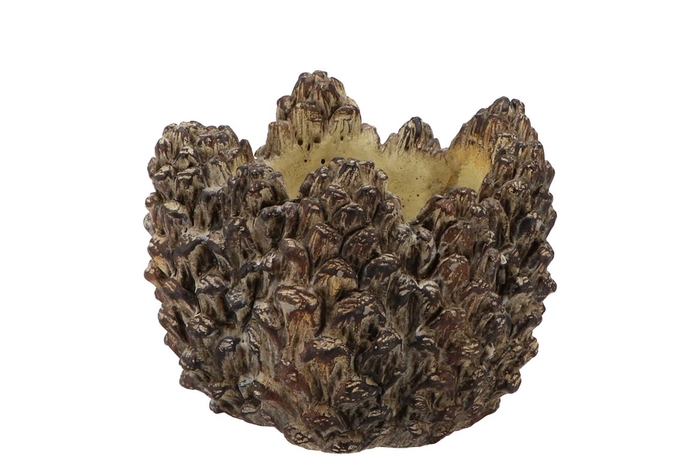 <h4>Concrete Natural Pinecone Pot Round Edge 17x17x12cm Nm</h4>