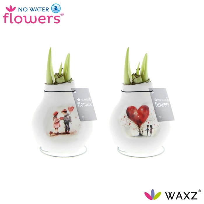 <h4>Wax Hipp First Love</h4>