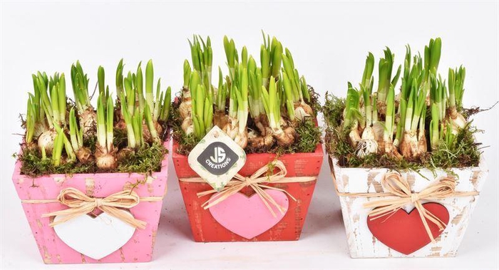 <h4>Hout vierkant hart decor mix 15x15</h4>