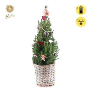 Picea gl. 'December'® P19 in Basket + Winterlight-Ski + Star on Loop