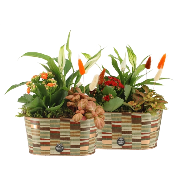 <h4>41578: Treasure time arrangement</h4>