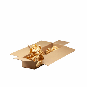 Palmcup O/s 10pc Sb Bleached White