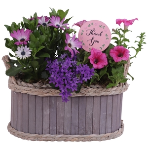 Mothersday Arr. Outdoor Wooden Pot Waterhyacinth Rim Ø29cm 3PP