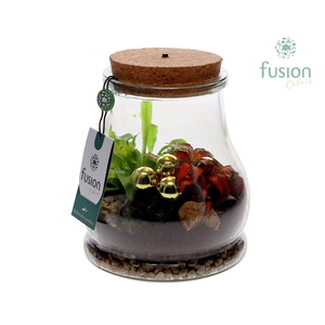 Terrarium met LED verlichting Kerst met arrangement
