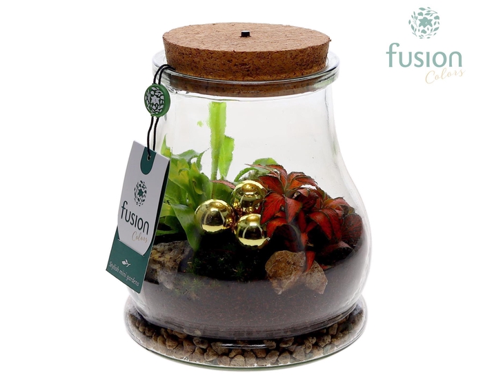 <h4>Terrarium met LED verlichting Kerst met arrangement</h4>