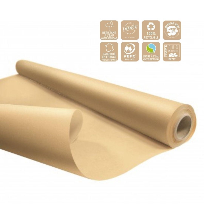 <h4>Paper Roll 80cm 25m Eco waterp.</h4>