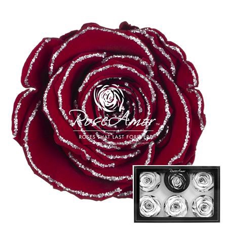 <h4>Pr 1 Glitter Silver Red01 Xl</h4>