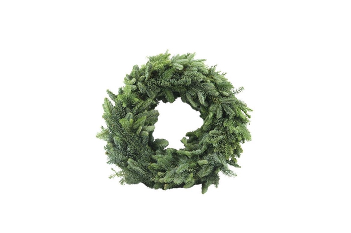 Krans Nobilis Half 30 Black Friday Deals !!!