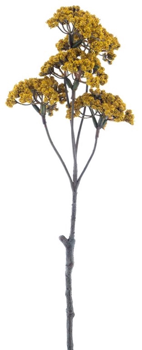 <h4>Wild hydrangea spray yellow 49cm</h4>