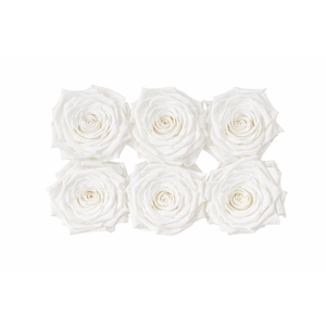 Ro Pres Classic White