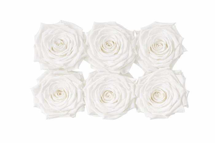 <h4>Ro Pres Classic White</h4>