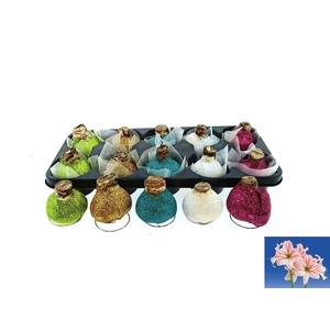 BLOEMBOL HIPPEASTRUM