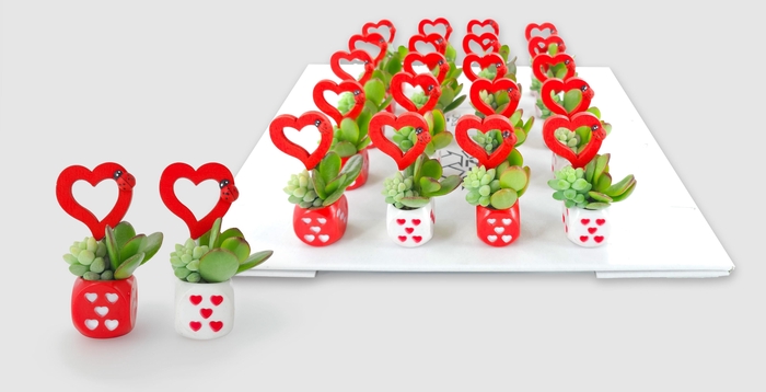 <h4>ARR SUCCULENTEN</h4>