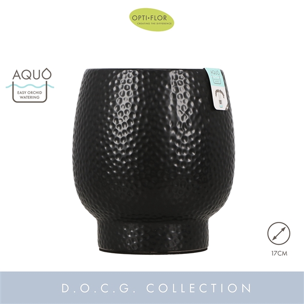 <h4>Abruzzo Black 17 cm Aquo</h4>