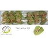 Anth. andr. 'Pistache' x10