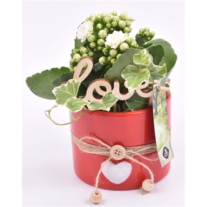 Keramiek pot rood met hart 10cm