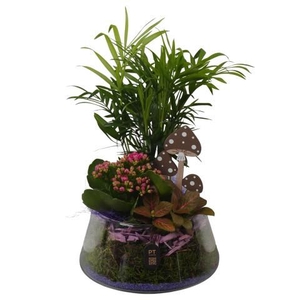 PTHG8239 Arrangement Autumn Glass in glas schaal
