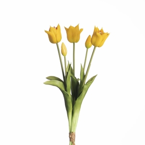 Af Tulip Bundle X5 L45cm Yell