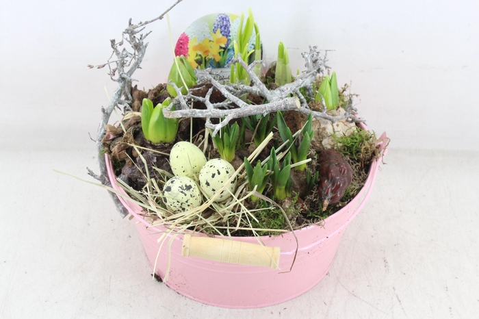 <h4>arr4 Bollenmix VL - Emmer pink 250/2</h4>