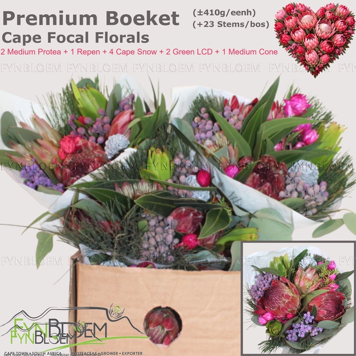 <h4>PROTEA PER BOS</h4>