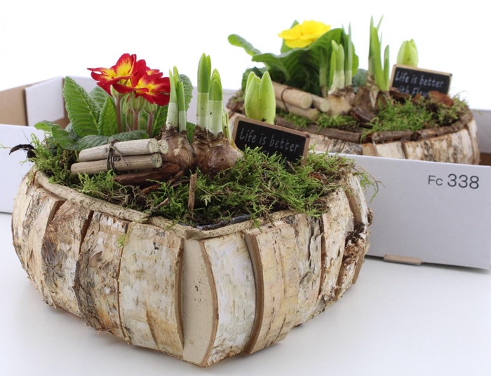 <h4>ARR PL IN SCHAAL</h4>