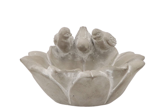 <h4>Concrete Bird Bowl Flower 22x22x13cm</h4>