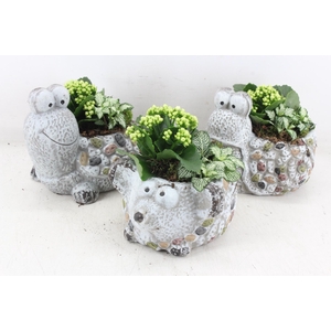 arr2 TD - Dierenmix - wit