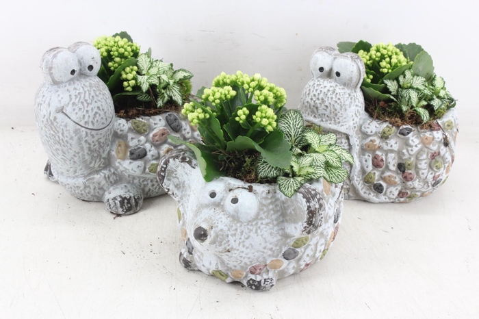 <h4>arr2 TD - Dierenmix - wit</h4>