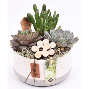 Keramiek decor pot 9CM