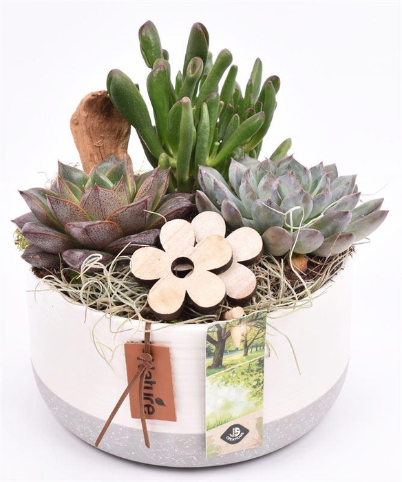 <h4>Keramiek schaal label 16.5 cm</h4>