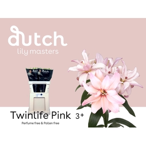 LI LA TWINLIFE PINK 3+