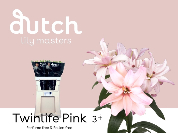 <h4>LI LA TWINLIFE PINK 3+</h4>