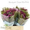 Bouquet Cape Mix Pink
