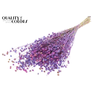 Lino Vlas p/bunch in poly Multicolour Milka