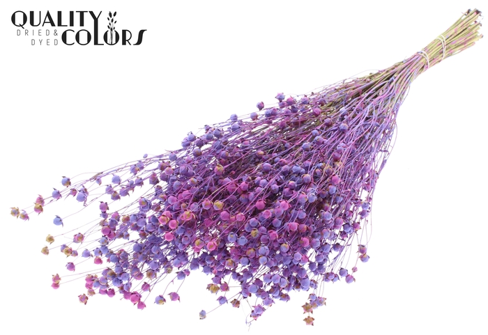 Lino Vlas p/bunch in poly Multicolour Milka