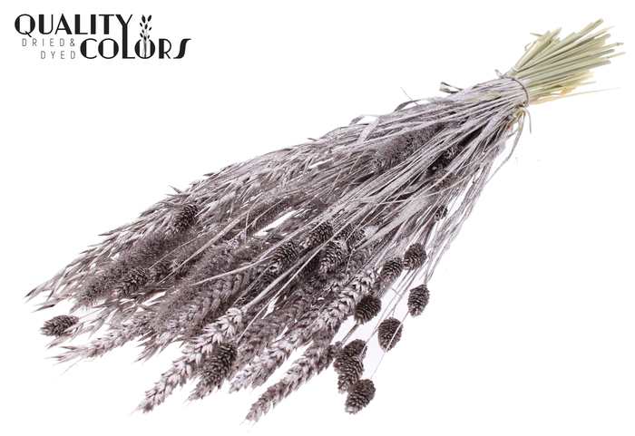 <h4>Dried Flower mix bunch Champagne + Glitter</h4>