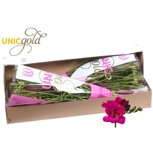UG Barendse - Purple King box